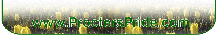 Springfield Missouri Lawn Care and Landscaping Services